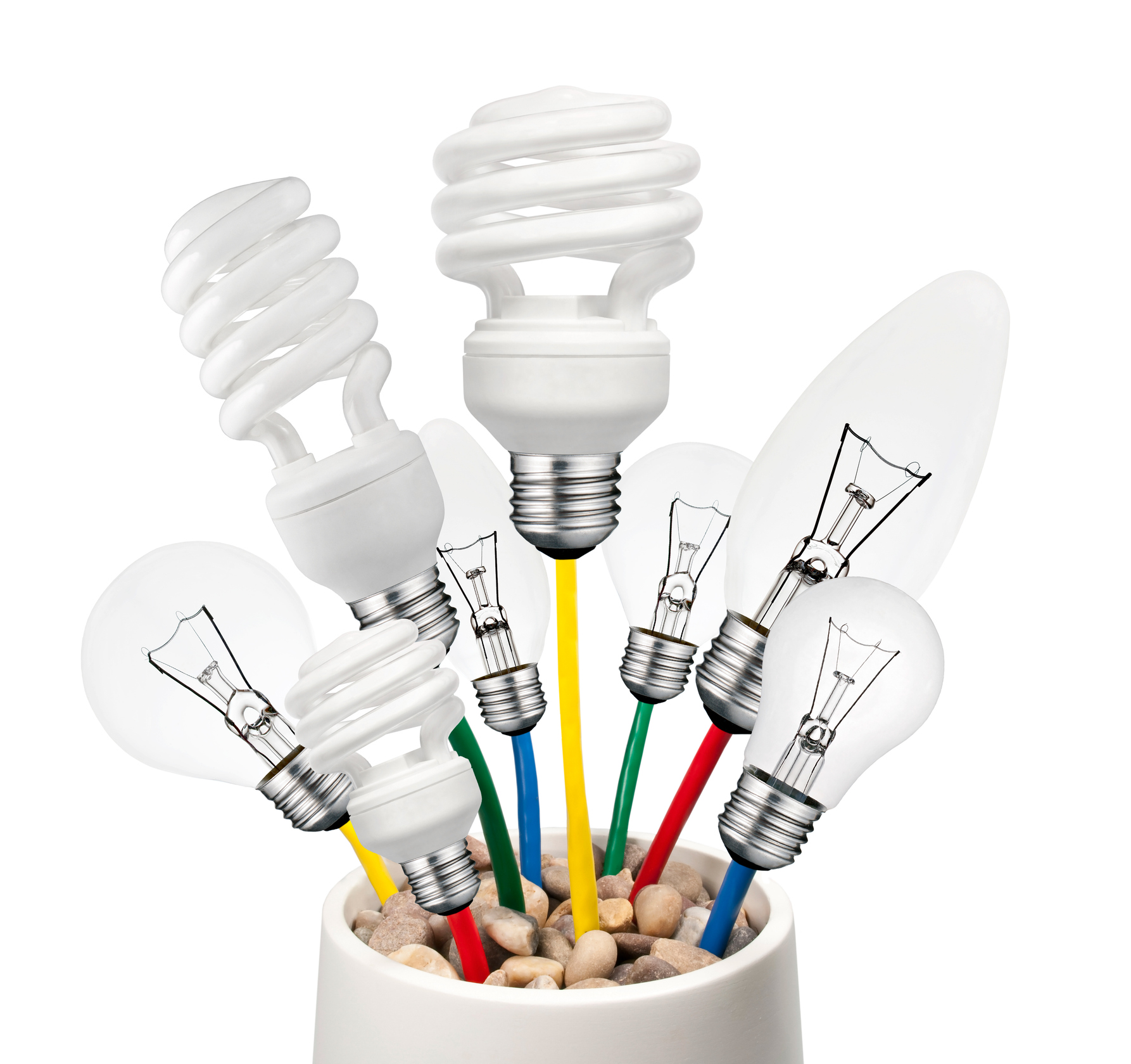 Smart Tools for Growing Online Presence by Cleartwo, Various Lightbulbs Growing in a Pot